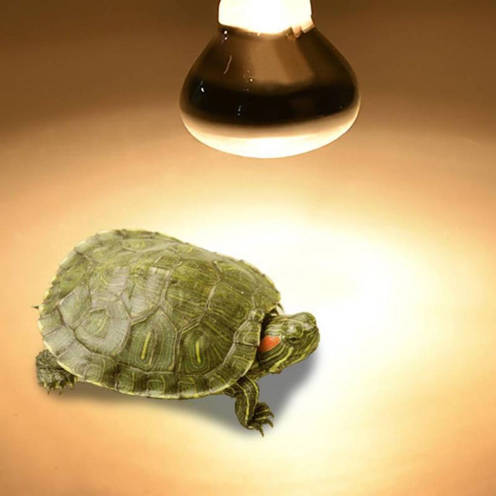 Lizard Heater Heat Lamp UVA Li - Basking Bulb Halogen review and price