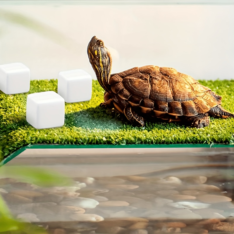 6Pcs For Reptile Grinding Tort - Calcium Powder Reptile review and price