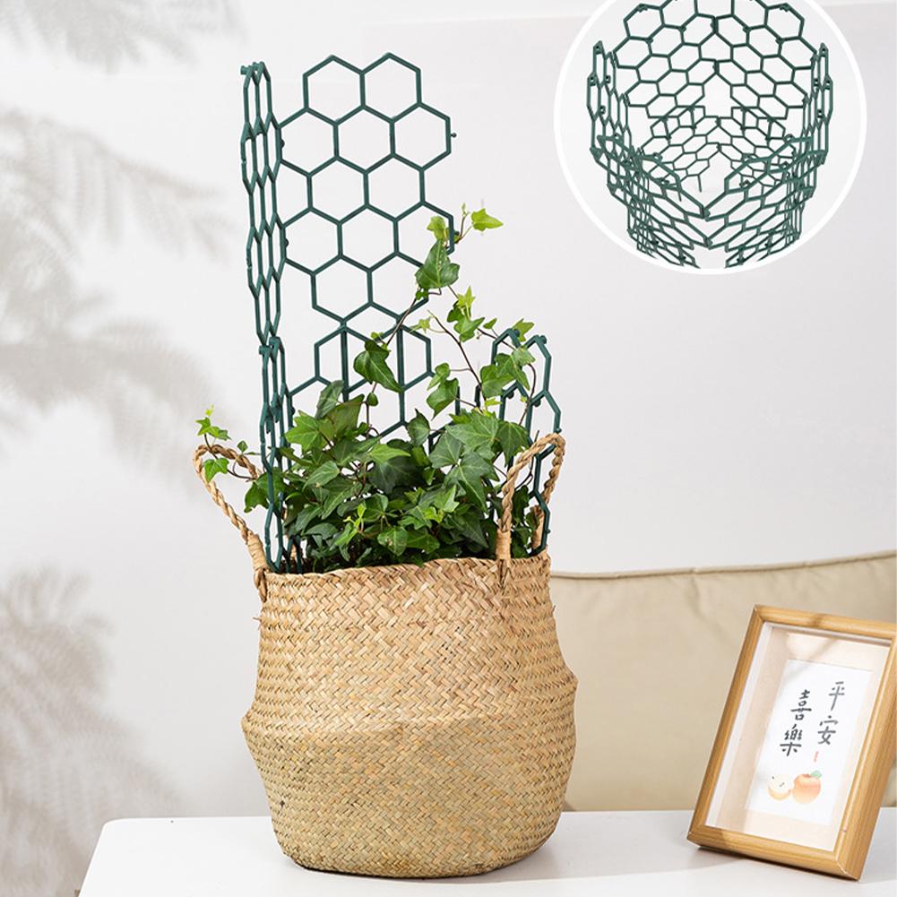 1/2/5Pcs Plastic Plant Support - Vine Climbing Plastic review and price