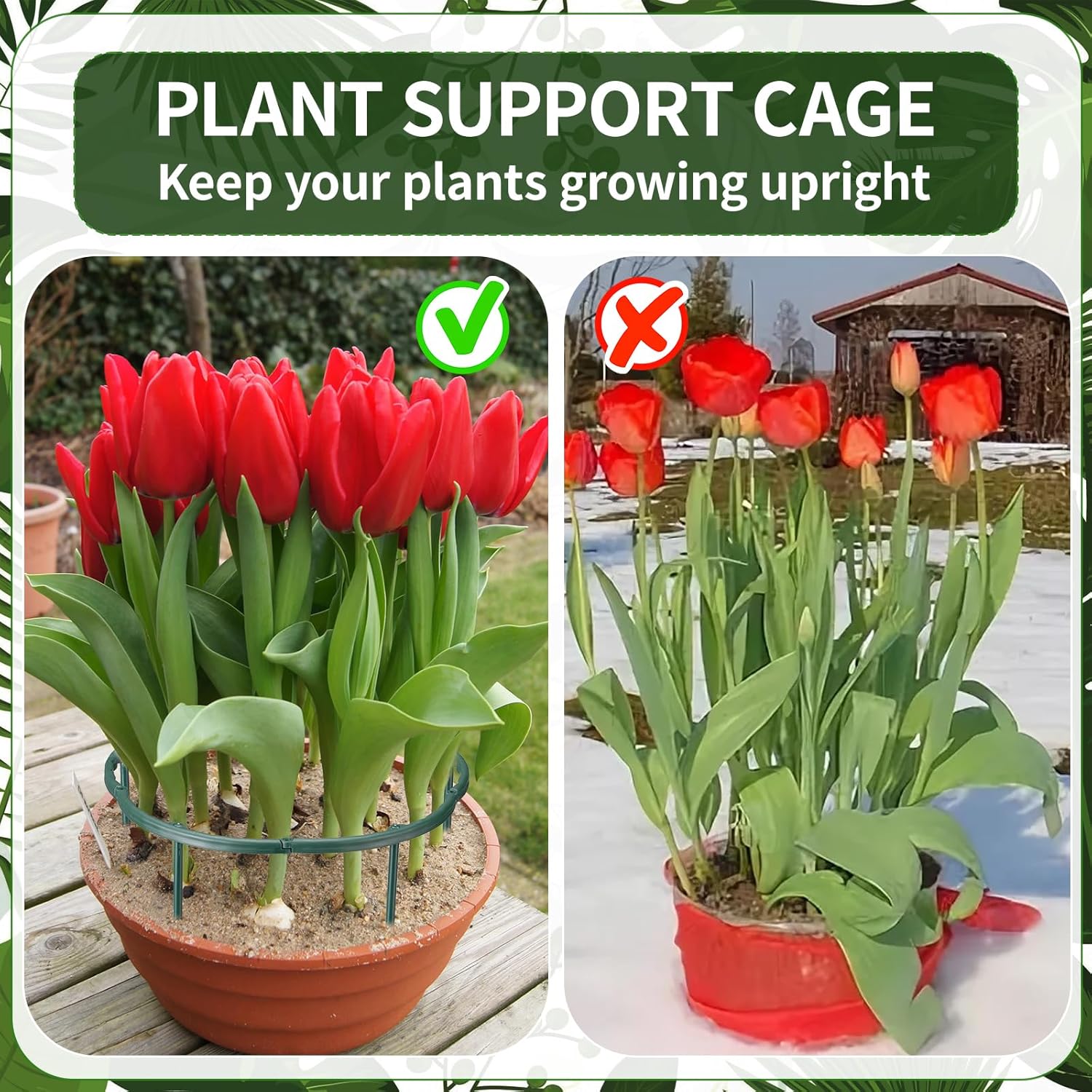 1/16pcs Plant Support Stake Fl - Vine Climbing Plastic review and price