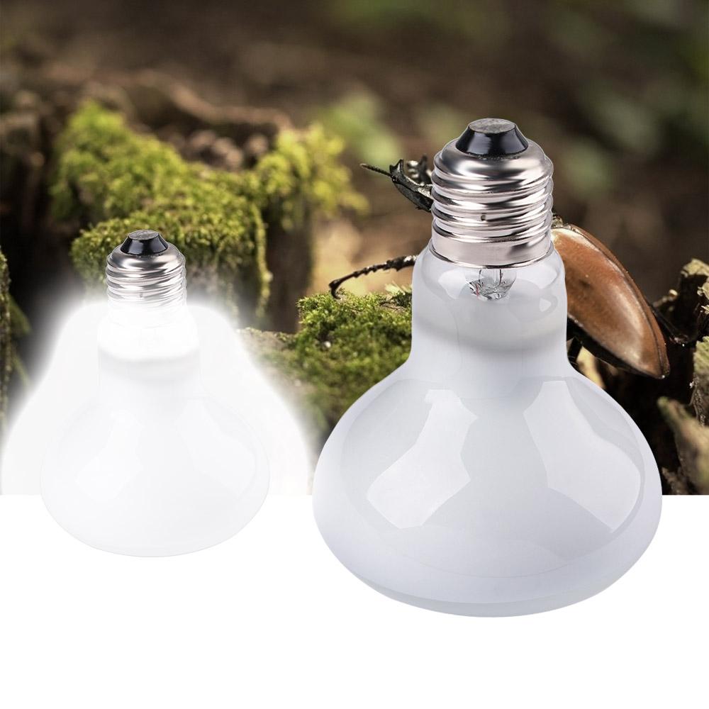 Amphibians Heater Heat Lamp UV - Basking Bulb Halogen review and price