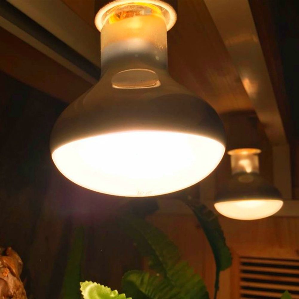 Amphibians Heater Heat Lamp UV - Basking Bulb Halogen review and price