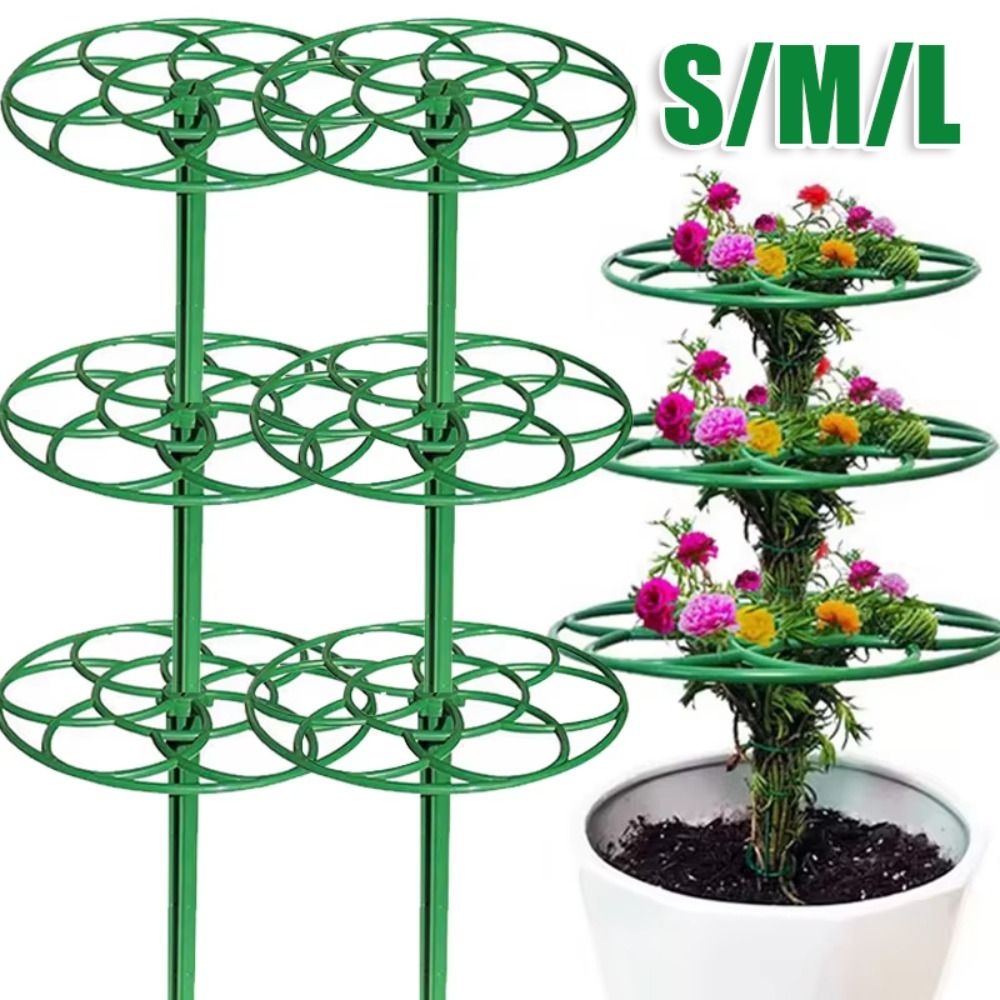 Durable S/M/L Bonsai Climbing  - Vine Climbing Plastic review and price