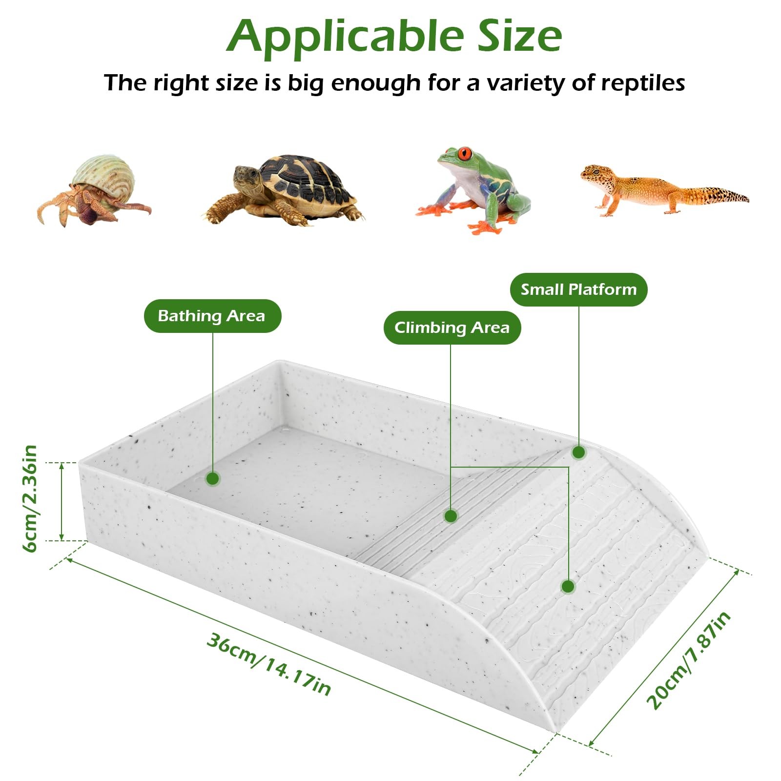 Anti Slip Tortoise Bath Dish T - Water Dish Reptile review and price