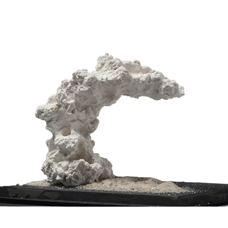Glazed Ceramic Anemone Ornamen - Hide Cave Ceramic review and price