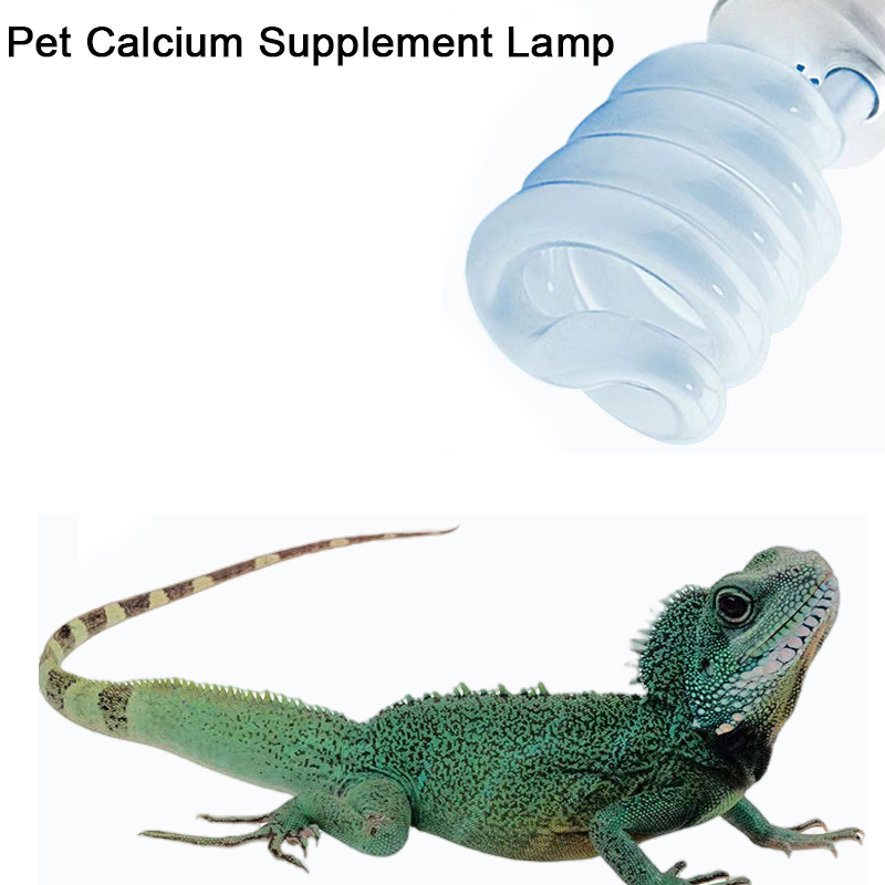 E27 13W/26W Reptile Uvb Lamp   - Calcium Powder Reptile review and price