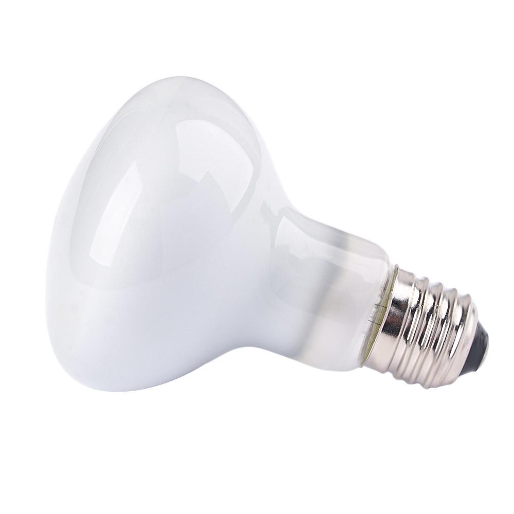 Turtle Temperature Controller  - Basking Bulb Halogen review and price