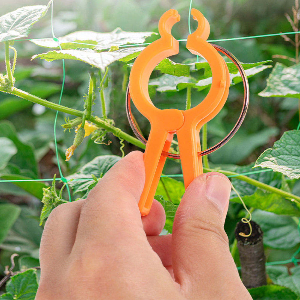10Pcs Plant Fixing Clips Vine  - Vine Climbing Plastic review and price
