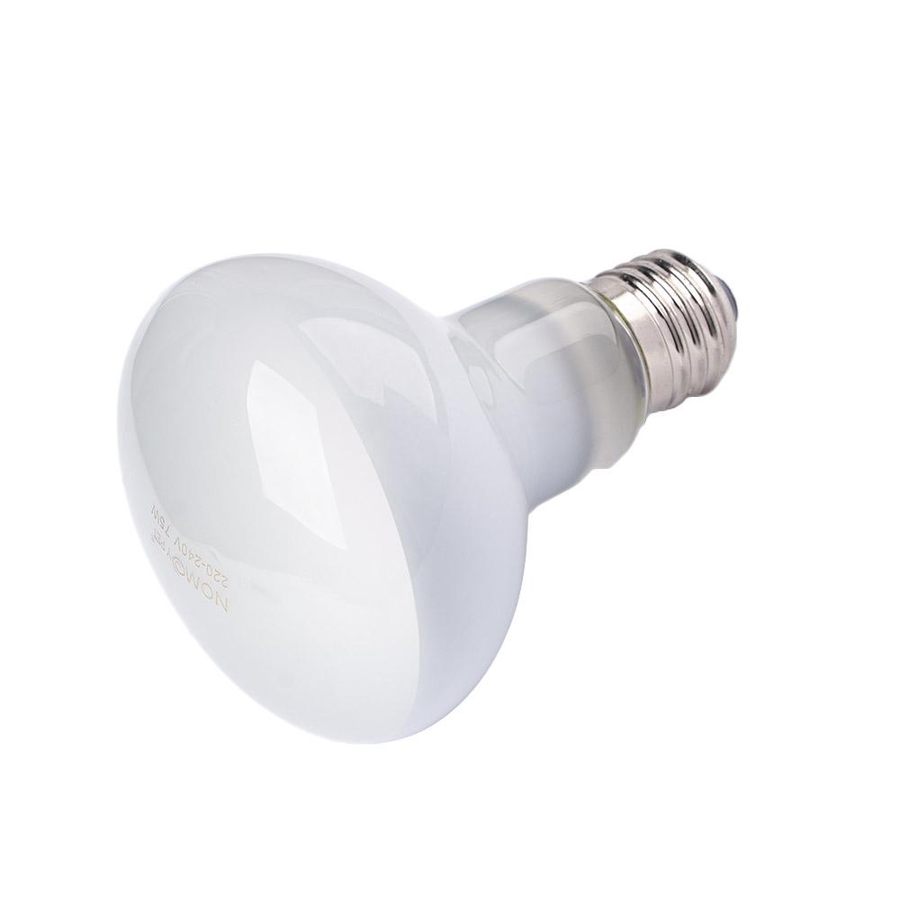 Amphibians Heat Lamp Temperatu - Basking Bulb Halogen review and price